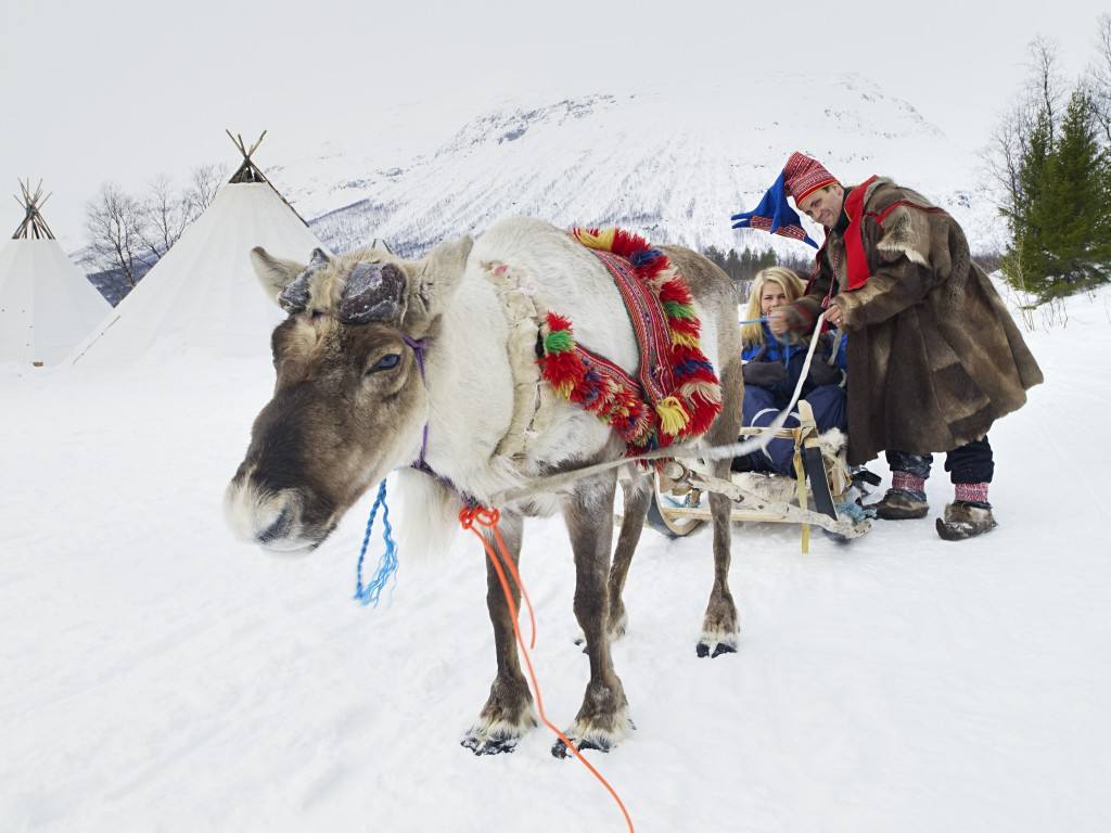 Reindeer sledge. Photo by Baard Loeken, Nordnorsk Reiseliv