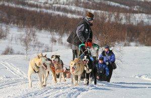 Northern Lights trips Norway. Dog sledding in Tromso. Photo by Lyngsfjord Adventures