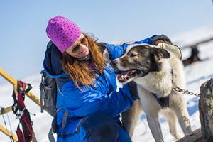 Experience dog sledding by Orjan Bertelsen, Hurtigruten