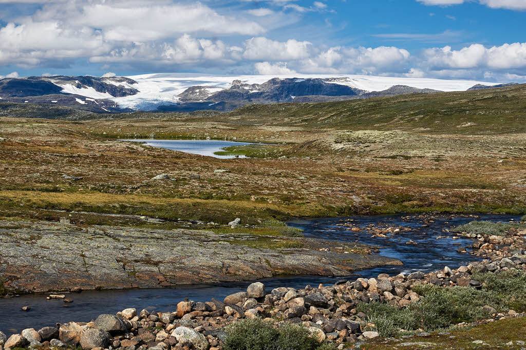 Hardangervidda Mountain Plateau by Pixabay