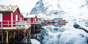 Winter on Lofoten Islands by Sheridan Conor, Hurtigruten