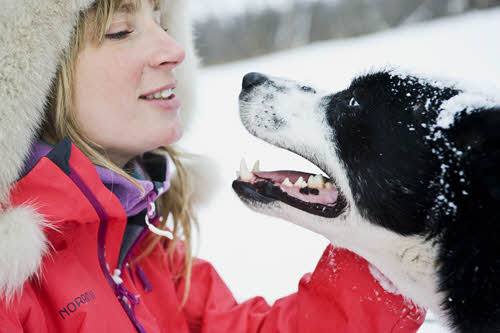 Dog sledding Northern Norway by Terje Rakke, Visit Norway