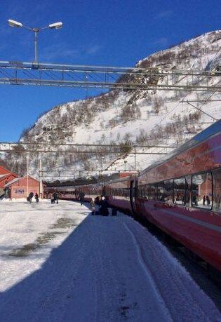 Bergen line & Flam Railway at Myrdal. Photo by Rita de Lange, Fjord Travel Norway