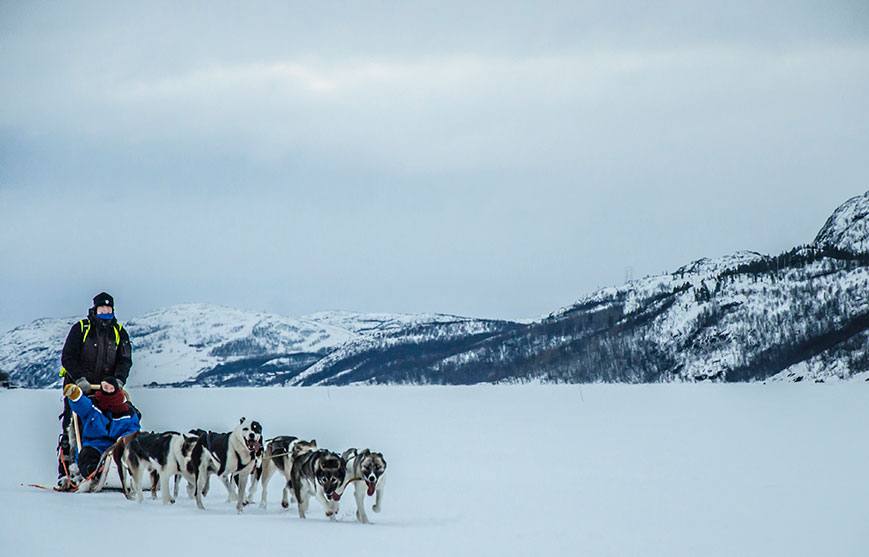 Arctic dog sledding. Photo by Kirkenes Snow hotel