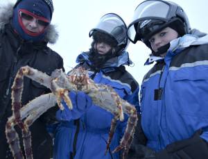 King Crab. Photo by Kirkenes Snow hotel