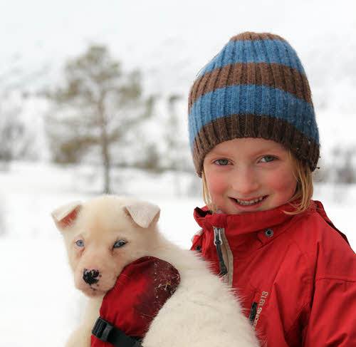 Husky visit in Tromso by Tromso Villmarksenter