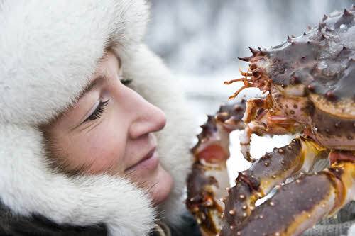 King Crab Safari in Kirkenes by Terje Rakke, Nordic Life, Visit Norway