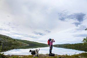 Husky Walk Norway by Sara Johannessen, Visit Norway