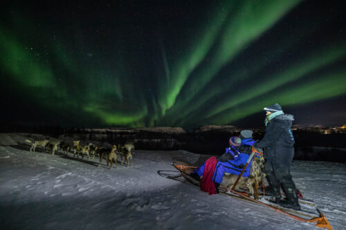 Dog Sledding Under The Northern Lights By Kirkenes Snowhotel
