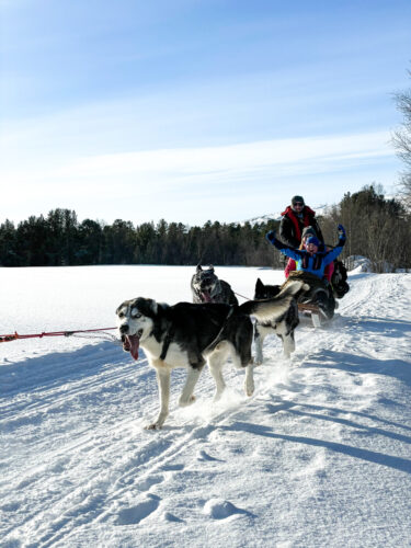 Dog sledding in Alta by Holmen Husky Lodge